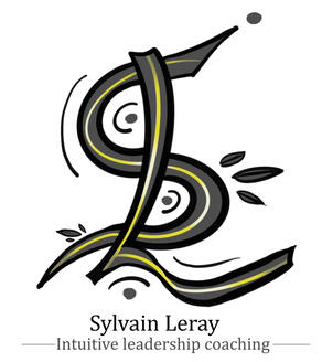 Sylvain Leray
